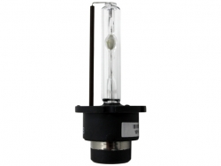 Lemputė XENON D2S 4300K, 1vnt 